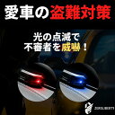 キャスト 汎用 ダミーセキュリティ ソーラー充電式 LEDカラー：ブルー 盗難対策 LEDスキャナー セキュリティーシステム 防犯 【ネコポス配送】 2