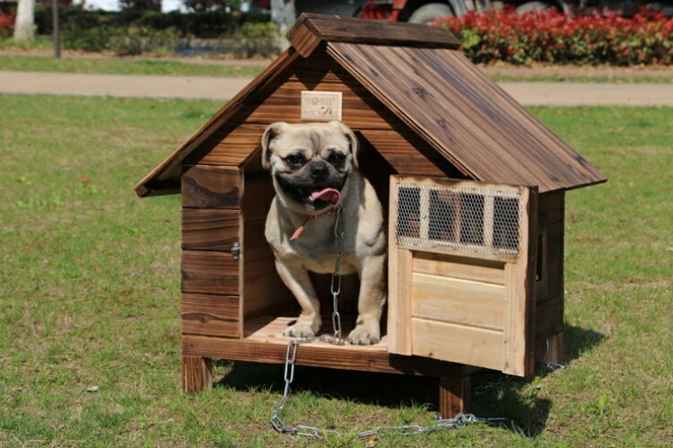 M���������� ǭ�� ������ ǭ���� �ڥåȲ� PET HOUSE DIY�Ȥ�Ω�ơ����� �ɥ��դ� ���Ⲱ������ �ڥå��� ���� ���� �淿�� �緿�� �ɥå��ϥ��� �ڥåȥϥ���690��660��680mm