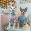 無毛猫 デボンレックス専用 猫服 コットン素材 スウェット フーディ もこもこ 保温性抜群 肌触り最高 ..