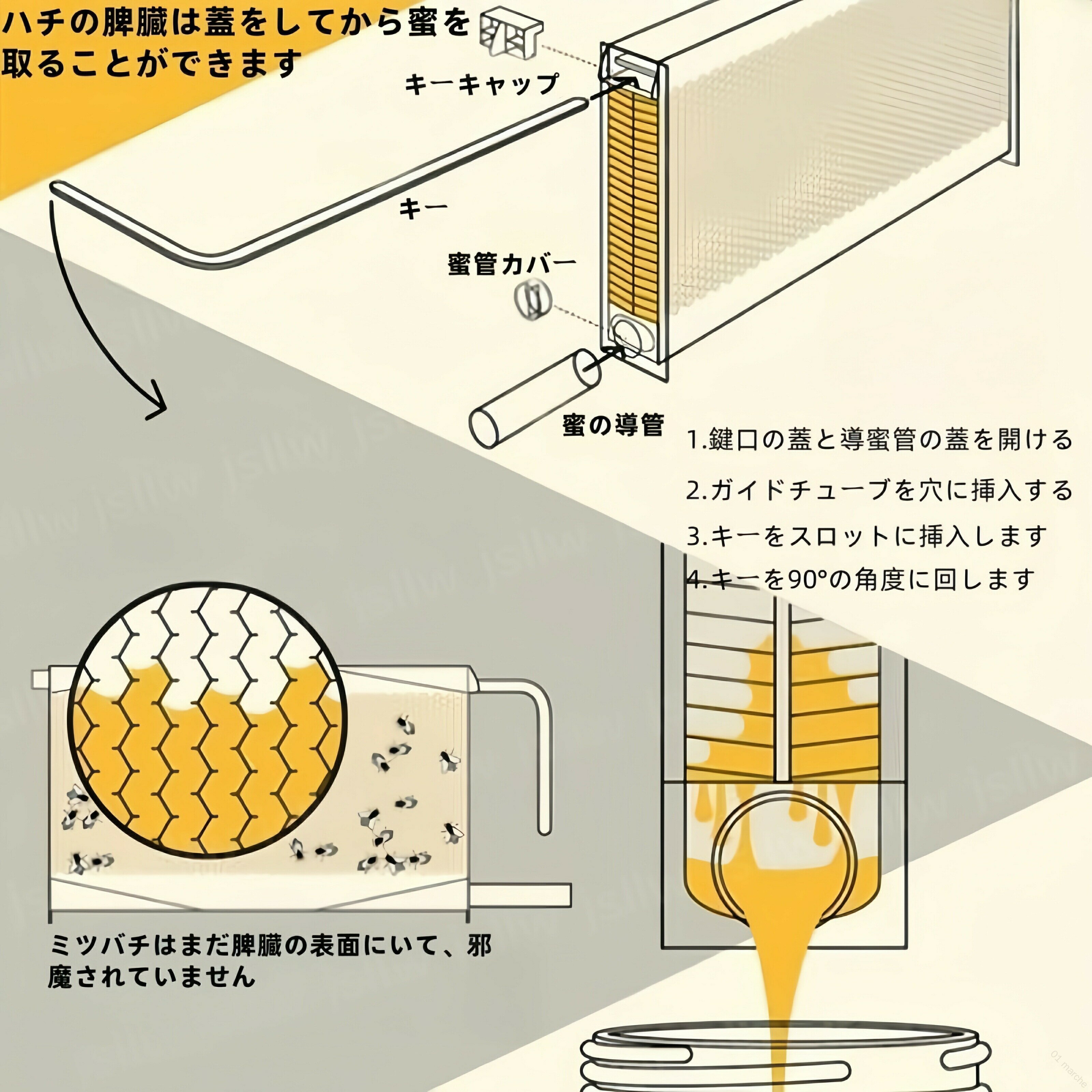 蜂の巣箱 ミツバチの巣箱セット 4脾臓 スソ付...の紹介画像3