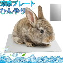 ペットマット ウサギ用涼感プレート ひんやり アルミ製 涼しい 猫用クールマット ハムスター 涼感プレート アルミ板 プレート パッド 犬夏の睡眠アイスベッド ...