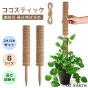 2本セット 3本セット モンステラ 支柱 ココスティック 観葉植物 支柱 園芸支柱 植物 ガーデニング用 花ささえ ココナッツ支柱 植物サポート つる性植物 ト...