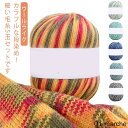 ウールライク毛糸中細段染め5玉セット手芸ハンドメイド手作り帽子ストールセーターべスト手あみあみもの中細春夏秋冬手編み編み物グラデーション糸