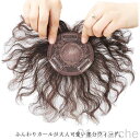 白髪隠し 部分ウィッグ ヘアピース 人毛100% トップカバー つむじ付き 薄毛 抜け毛対応 ウェーブカール ミセス向け 黒髪 ダークブラウン 増毛 ウィッグ ...
