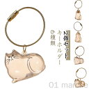 猫の毛収納ボトル キーホルダー 猫毛 透明カプセル ペット遺毛入れキーホルダー ケース 透明 ネコ 遺毛保管 猫の毛収納ボトル ペット用 猫キーホルダー 毛を保...