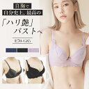 tu-hacci Bra Collectionブラ単品※超脇高ブラが、史上最高レベルの補正力になってリニューアル※「こんなブラが欲しかった」を形にした本気の補正ブラで、ムダ肉を集めてデコルテふっくら復活。加齢によるバスト変化のうち、最初のエイジングサインである「そげ胸」に注目した補正ブラ。脇や背中に流れたぜい肉をバストに集約・留めることで、痩せた上胸をふっくらとハリのあるバストに整えます。リニューアル版ではデザインと補正力を更にアップグレードしました。高級感漂うシンプルデザインで幅広い年齢層の方にもご安心して着用していただけます◎■「艶バストをメイクする」立体カップ脇高・3枚ハギの立体カップがバストをもれなくカップイン。トップ位置高く、ふっくらとハリのあるバストをメイク。カップ裏、下から脇にかけて搭載したパワーネットとふんわりパッドがリフトアップをサポートします。■高いキープ力とシルエット補正サイドのWボーンと幅広のバックパネルがぷよ肉を抑え込み、横流れをブロック。バックネットの縁は袋縫いに。段差になるのを防ぎ、面で押さえてフラットな背中に仕上げます。☆こんなお悩みのある方にお勧め・脇肉、背肉の段差が気になる・産後のバスト下垂・最近カップ上部やブラの脇あたりが浮く、普段のサイズが合わなくなってきた・デザイン性の高い補正下着を探している☆着用時のポイント前かがみになり脇肉、背肉をしっかりカップインさせると、よりふっくらバストをご実感いただけます。■サイズE70 E75 E80 E85 F70 F75 F80 F85 G75 G80 G85■商品仕様◇ストラップ取り外し：不可◇ストラップ長さ調節：可◇ワイヤー：有◇パッド：有◇パッド取り外し：可◇ホック：3段3列◇素材：ナイロン、ポリウレタン、その他◇BCDカップはこちら！品番≪t01≫◇おそろいショーツはこちら！品番≪t02s≫※≪≫内の番号で検索すると商品が表示されます。■カラー：ブラック、ネイビー、ラベンダー※(　)で表記されている数字はヌードサイズです。ヌードサイズとは衣服を身につけない身体のサイズです。お客様ご自身の身体サイズと比較してお選びください。 ■素材： ナイロン、ポリウレタン、その他 ■お手入： &nbsp;&nbsp;&gt;&gt;商品のお取り扱い方法 ■原産国：【EFGカップ】〜補正下着に見えない補正下着〜超脇高 艶盛りブラ【ブラ単品】／ツーハッチ（tu-hacci）ブラックネイビーラベンダー画面上と実物では、多少色具合が異なって見える場合がございます。