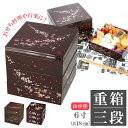 重箱 三段 通販 桜 3段 お重 6寸 ランチボックス ファミリーサイズ お重箱 おせち お花見 行/バックヤードファミリー(BACKYARD FAMILY)