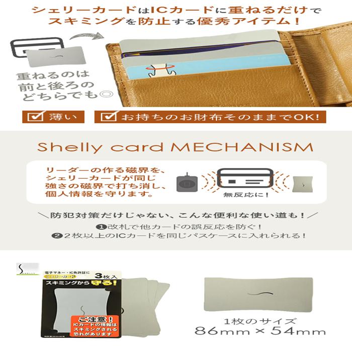 �����꡼ shelly �����꡼�����ɡ��Хå��䡼�ɥե��ߥ꡼��BACKYARD FAMILY��