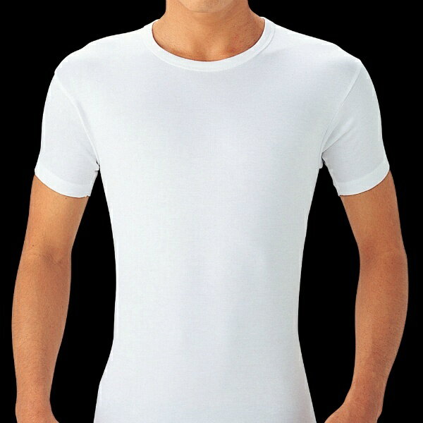 【LANVIN collection】【トラディショナルフライス】【綿100％】／ランバン コレクション（LANVIN COL...