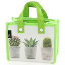 【ROOTOTE】RGB.RPET Poly Desktop-A Cactus／ルートート（ROOTOTE）