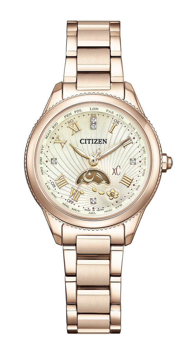 CITIZEN daichi collection25ǯEE1006-51WxC