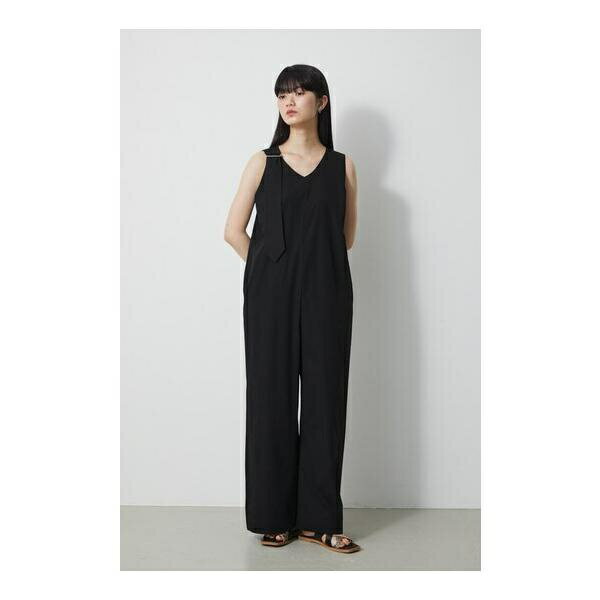 WATER REPELLENT SALOPETTE／アズールバイマウジー（AZUL BY MOUSSY）のサムネイル