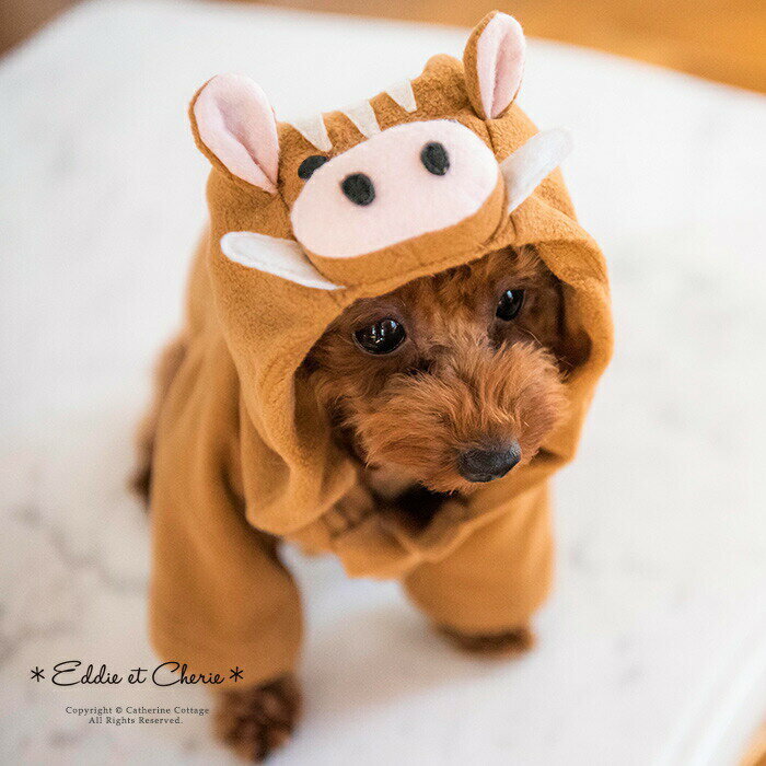 イノシシ着ぐるみ／キャサリンコテージ（Catherine Cottage）のサムネイル