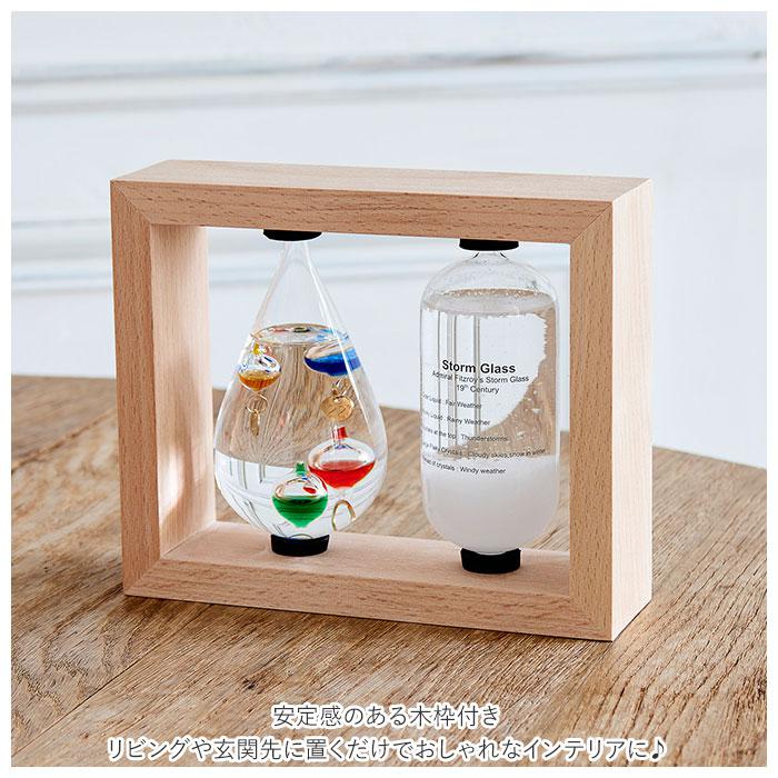 温度計&ストームグラス/バックヤードファミリー(BACKYARD FAMILY) [3]