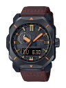 CASIO JVI PROTREK yKiz PRW-6100Y-1AJF^vgbNiPROTREKj