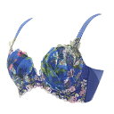 トリンププレミアム レッドレーベル 0092 ブラジャー B-Cカップ/トリンプ(Triumph)