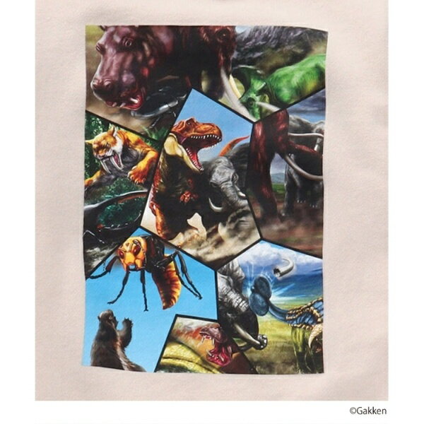 【最強王図鑑×SHOO・LA・RUE】バックプリントスウェット／シューラルー（SHOOLARUE）のサムネイル