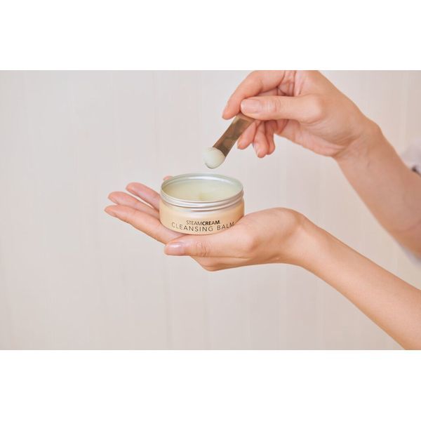 �������९�꡼�ࡡ����󥸥󥰥С���2023���������९�꡼���STEAM CREAM��