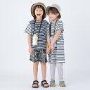 SHIPS KIDS:100〜130cm / オーガニック コットン ボーダー TEE/シップス(SHIPS)(4)
