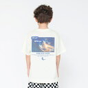 【bコレ】グラフィック半袖Tシャツ/ブランシェス(branshes)