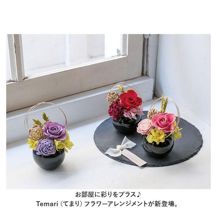 Temari てまり フラワーアレンジメント／バックヤードファミリー（BACKYARD FAMILY）