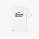 ラコステ 服 メンズ LACOSTE ミックスグラフィックウルトラドライTシャツ／ラコステ（LACOSTE）