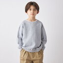 SHIPS any:〈洗濯機可能〉STANDARD クルーネック スウェット/シップス エニィ(SHIPS any)