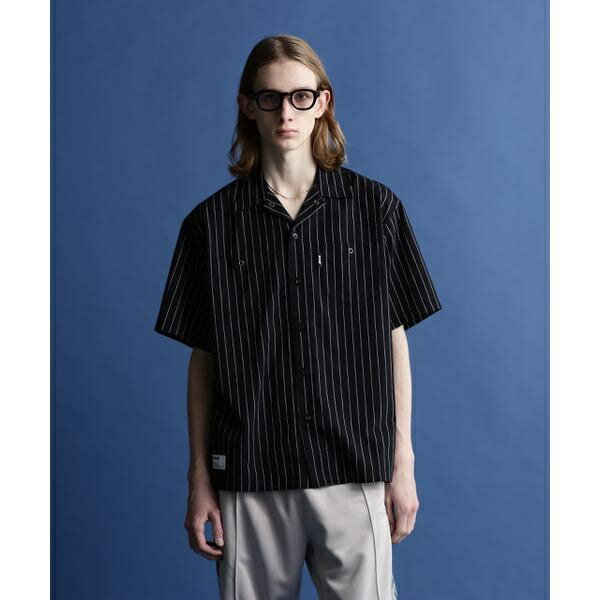 STRIPE S／S WORK SHIRT／ストライプワークシャツ／ショット（Schott）