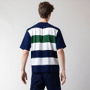 LACOSTE パネル切り替えニットTシャツ