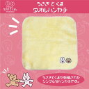 わかるのうさぎとくま タオルハンカチ/Creco(Creco)