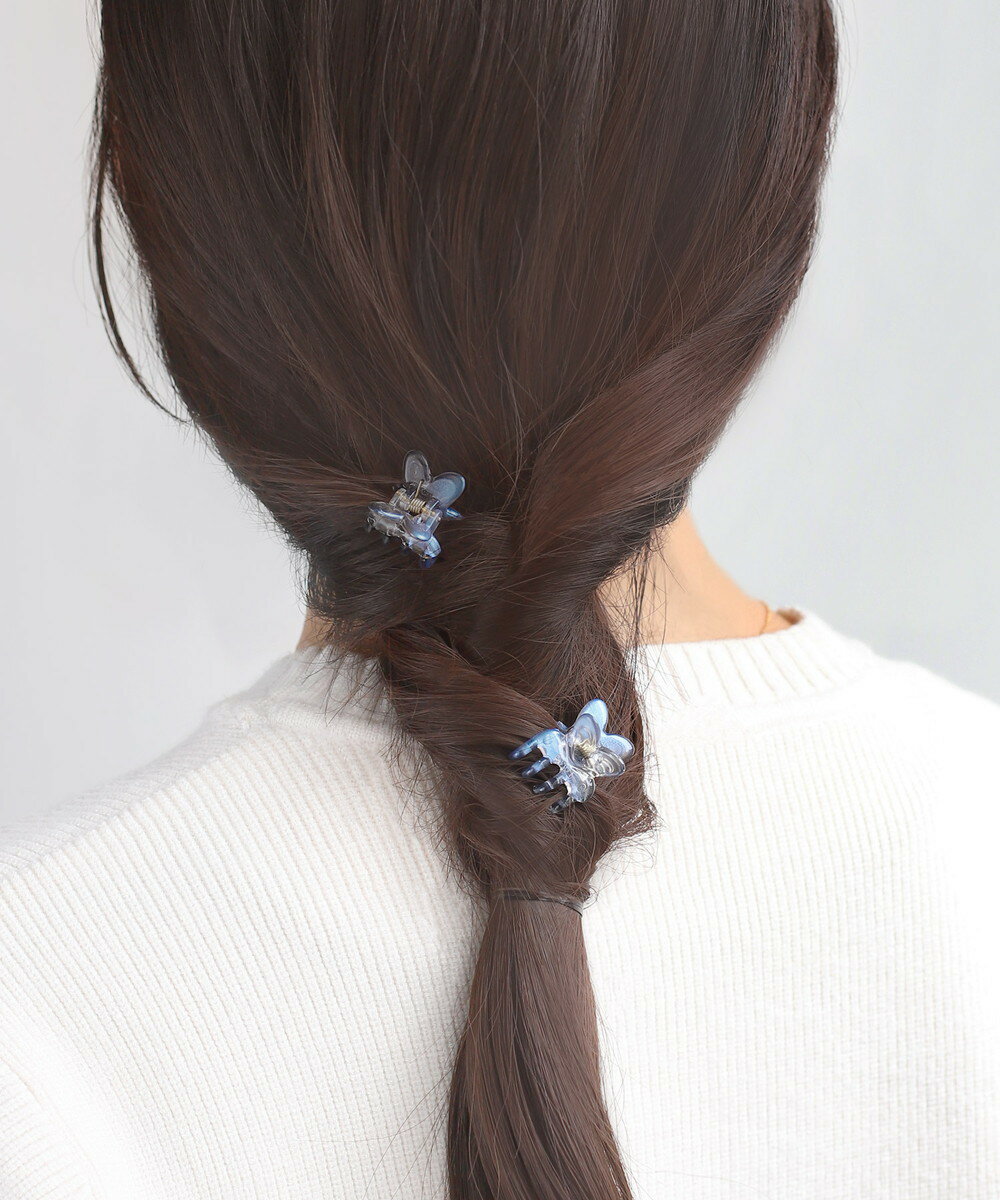 オーロラバタフライミニバンス[2個セット]／アネモネ（ANEMONE）