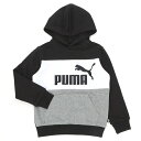 【プーマ/PUMA】ESS+ カラーブロック フーディースウェット FL/プーマ(PUMA)