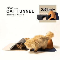 猫用トンネルフェルト製2ピース／ピダン（PIDAN）