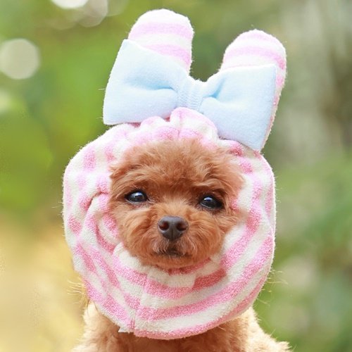 GODPIVA ボーダーアニマルスヌード/ゴッドピバ(GODPIVA)