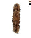 RACCOON FUR レディース/スキー/ファー/ラクーン/フェニックス(phenix)