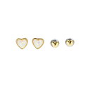 フォッシル アクセサリー レディース セット JGFTSET1081/フォッシル(FOSSIL)