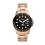 FOSSIL BLUE GMT　FS6027／フォッシル（FOSSIL）
ITEMPRICE