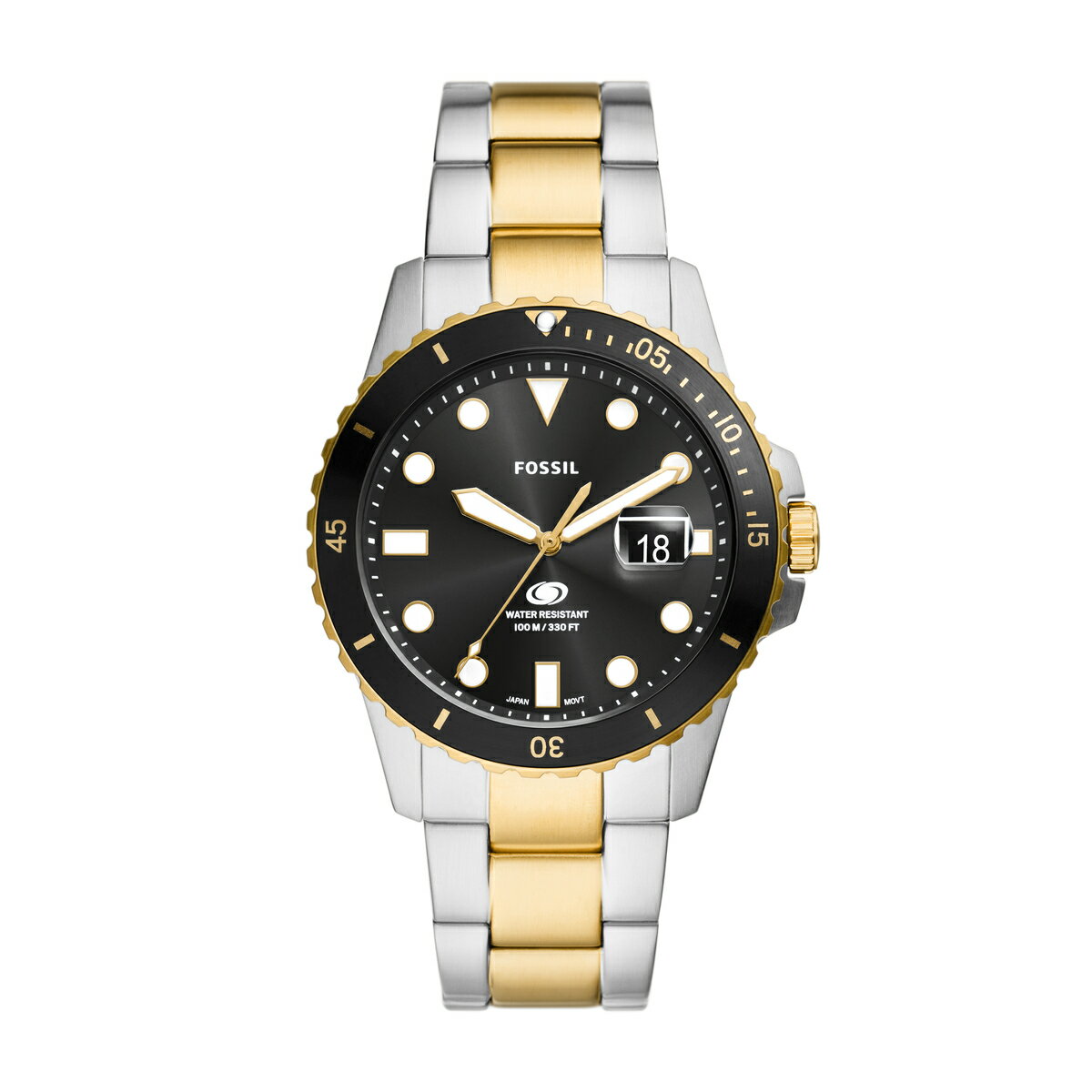 FOSSIL BLUE DIVE　FS6031／フォッシル（FOSSIL）