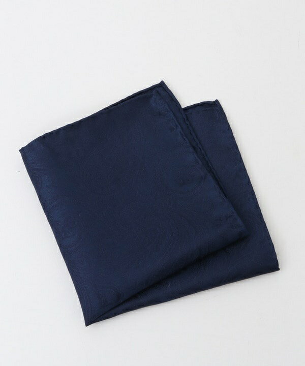 シャドーペイズリー柄シルクチーフ／メンズビギ（MEN'S BIGI）