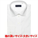 【透け防止】 形態安定 ワイドカラー 長袖 ワイシャツ/ブリックハウス(BRICKHOUSE)