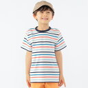SHIPS KIDS:100~130cm / オーガニック コットン ボーダー TEE/シップス(SHIPS)