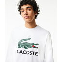 LACOSTE pC GbZVACROtBbNN[lbNXEFbg^RXeiLACOSTEj