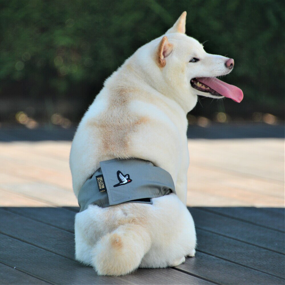 MWT！マナーベルト／マンハッタン ウォーキー タイム！（MANHATTAN WALKY TIME！）