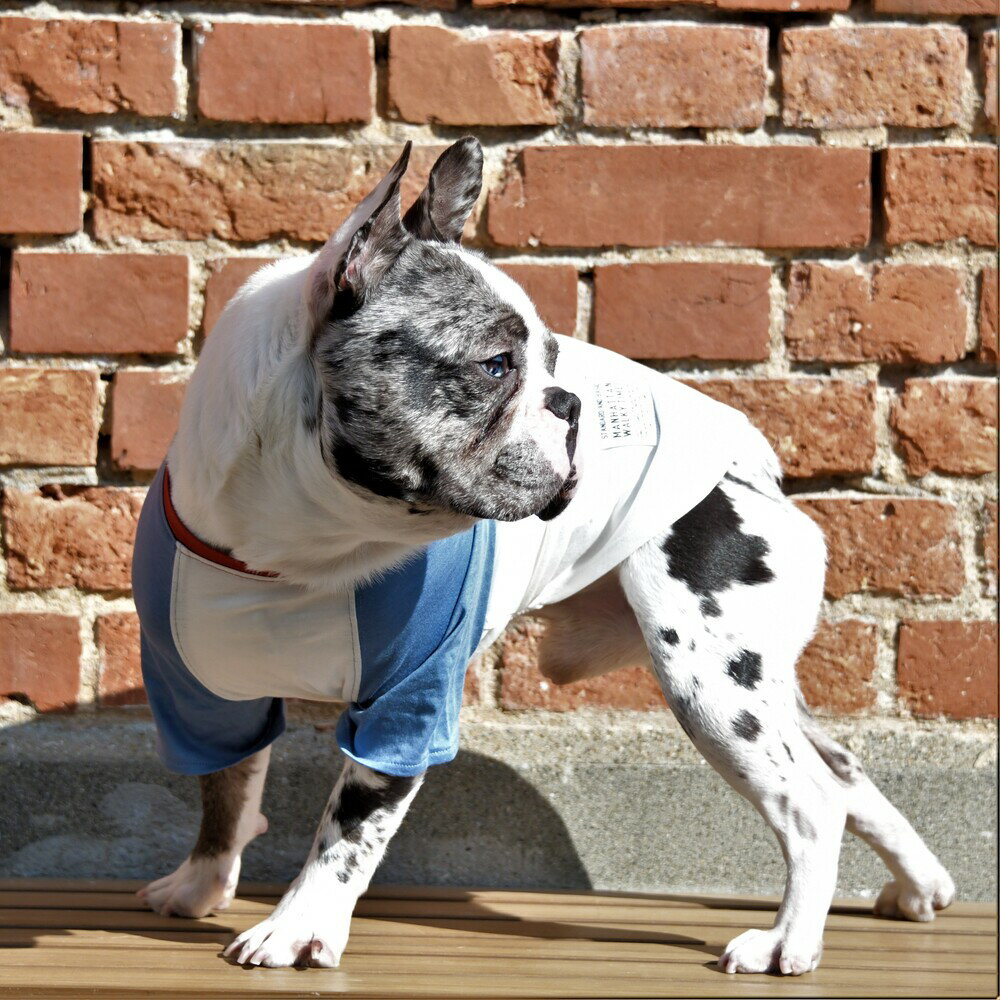 オーガニックコットンラグランTシャツ／マンハッタン ウォーキー タイム！（MANHATTAN WALKY TIME！）