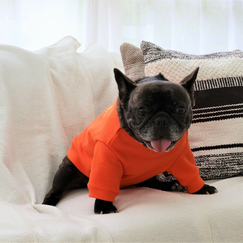 ベーシッククルーネックスウェット／マンハッタン ウォーキー タイム！（MANHATTAN WALKY TIME！）