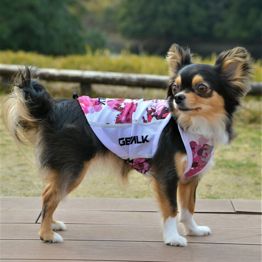 楽天市場】サマークーリングタンクトップの通販