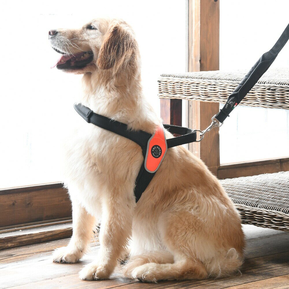 プリモ リフレクティブ／トレポンティ（TRE PONTI）