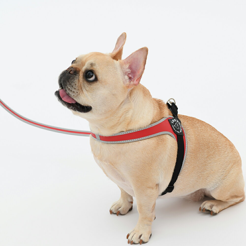 リーシュ　フォー　スモール　ブリーズ／トレポンティ（TRE PONTI）