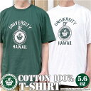 HAWAII SHORT SLEEVE T-SHIRT／バックヤードファミリー（BACKYARD FAMILY）