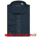 【大きいサイズ・ストレッチ】 形態安定 ホリゾンタルワイドカラー 長袖ニットシャツ/ブリックハウス(BRICKHOUSE)